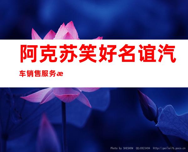阿克苏笑好名谊汽车销售服务有限公司
